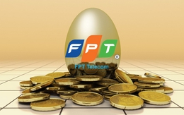 “Con cưng” của FPT lãi ròng 643 tỷ đồng 9 tháng đầu năm