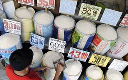 Nhật nhập khẩu ít gạo miễn thuế nhất trong vòng 20 năm
