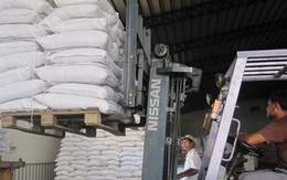 Campuchia muốn xuất khẩu 60.000 tấn gạo sang Indonesia