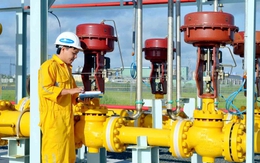 GAS: Lấy nguồn từ Quỹ đầu tư phát triển để mua cổ phiếu quỹ