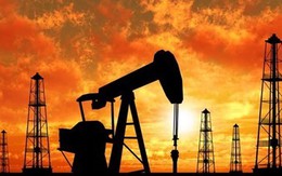 Giá dầu thế giới tăng trở lại do hoạt động săn hàng giá rẻ
