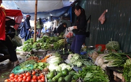 Hà Nội: Trời rét mưa phùn đẩy giá rau, củ tăng mạnh
