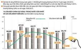 [Infographics] 10 lần điều chỉnh giá xăng trong nước gần nhất