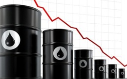 Nguyên nhân nào khiến giá dầu xuống mức thấp nhất trong 6 năm?