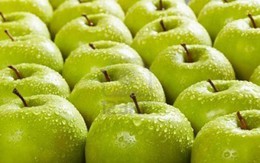 Thu hồi táo Mỹ và sản phẩm từ táo đóng gói sẵn bị nhiễm vi khuẩn