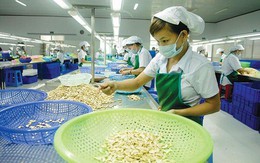 Sở hữu 23% cổ phần, Pan Food chào mua hơn 4 triệu cổ phần Lafooco