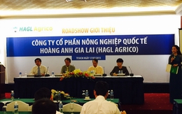 CEO HAGL: "Giá cổ phiếu HNG không cao mà là giá HAG thấp"