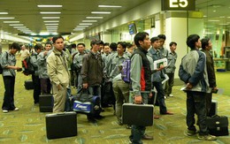 Xuất khẩu lao động: Nhức nhối nạn lừa đảo và bỏ trốn