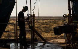 Giá dầu sụt mạnh vì dự báo tiếp tục rơi sâu