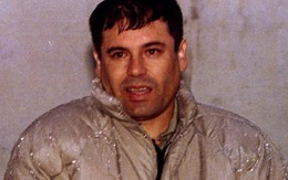 El Chapo - Ông trùm ma túy vượt ngục "như phim"