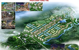 Thanh tra Chính phủ "điểm mặt" 12 dự án lớn tại Quảng Ngãi có sai phạm