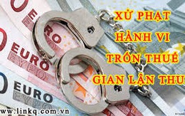 Lập khống hợp đồng lao động, trốn hơn 1,3 tỷ đồng tiền thuế