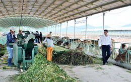 Hoàng Anh Gia Lai phát hành 118 triệu cổ phiếu trả cổ tức 2014 tỷ lệ 15%