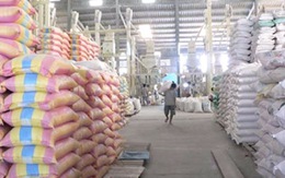 Xuất khẩu gạo giảm: Nỗ lực tìm kiếm thị trường mới