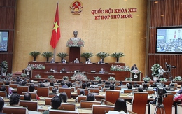 Ông Tập Cận Bình phát biểu gì trước Quốc hội Việt Nam?