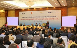 Hiện thực hóa lợi ích của FTA Việt Nam-Liên minh Kinh tế Á Âu
