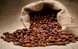 Giá cà phê có thể tăng 18% trong năm nay do thiếu hụt nhiều