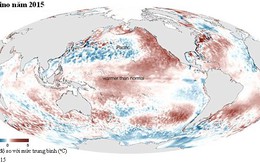 El Nino có thể làm tăng gấp đôi giá một số thực phẩm và đồ uống