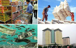 Thủ tướng: Phấn đấu GDP năm 2016 đạt trên 6,5%