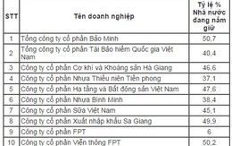 SCIC xin giữ lại vốn tại một số doanh nghiệp lớn nhưng không được chấp thuận?