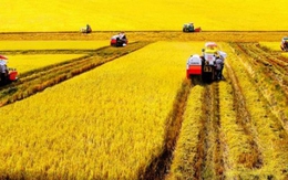 Chính phủ yêu cầu hạn chế thu hồi đất nông nghiệp