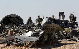 Nga thừa nhận máy bay rơi ở Ai Cập do đánh bom khủng bố