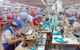Đà Nẵng: Nợ BHXH “khủng”, lập ngay 2 đoàn liên ngành kiểm tra 30 doanh nghiệp