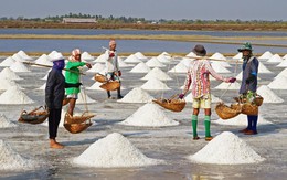 Ưu tiên mua tạm trữ muối tại các địa phương có tồn đọng lớn