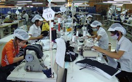 Vì lương thấp nên năng suất lao động Việt Nam thấp?