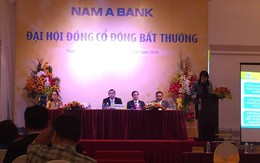 ĐHCĐ bất thường Nam A Bank: Ông Phan Đình Tân lên làm chủ tịch thay ông Nguyễn Quốc Toàn