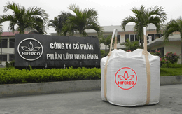 Phân lân Ninh Bình: LNST 2014 giảm 10% còn hơn 36 tỷ, không hoàn thành kế hoạch
