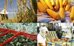 Sụt giảm giá trị nông nghiệp: Nguyên nhân do đâu?