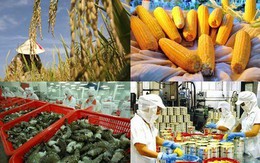 Quý 1, xuất khẩu nông sản giảm 13,2%