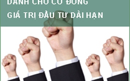 Chứng khoán Navibank hoàn tất thủ tục đăng ký phát hành 2,6 triệu cổ phiếu riêng lẻ