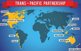 Chứng khoán Việt Nam và món “ngon” TPP