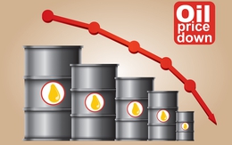 Dư thừa dầu mỏ toàn cầu và nỗi buồn của GAS - PVD