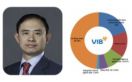 Ông Trần Nhất Minh và người nhà nắm giữ hơn 10% vốn Ngân hàng VIB