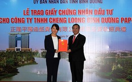 Đài Loan đầu tư nhà máy giấy 1 tỷ USD tại Bình Dương