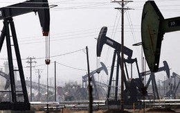 Sản lượng dầu của OPEC chạm mức cao nhất trong 6 tháng qua