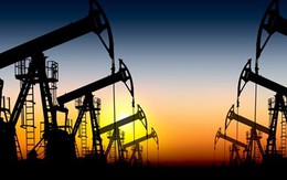 OPEC vẫn duy trì sản lượng khai thác bất kể tình trạng dư cung
