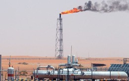 OPEC giữ nguyên sản lượng sản xuất, giá dầu sẽ ra sao?