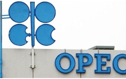 OPEC đang làm rất tốt công việc của... các ngân hàng trung ương