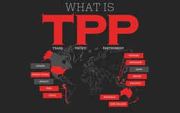 Không thể thay cải cách kinh tế bằng TPP!