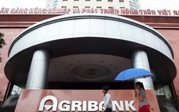 Xử đại án thất thoát gần 2.500 tỉ tại Agribank Nam Hà Nội