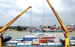 Cảng Đồng Nai (PDN): 6 tháng EPS đạt 2.118 đồng