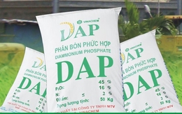 Chứng khoán IB đăng ký bán 5 triệu cổ phiếu DAP Vinachem