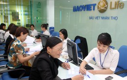 Tập đoàn Bảo Việt trình kế hoạch lợi nhuận công ty mẹ 980 tỷ đồng năm 2015