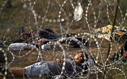 Hungary xây hàng rào trên biên giới để ngăn người di cư