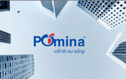 Pomina Steel: Năm 2014 bán Thương mại thép Pomina, vẫn đang ngóng chờ cú hích từ thị trường Bất động sản