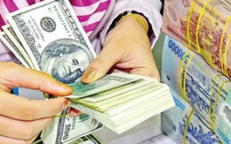 Sáng 8/9: Vietcombank tăng mạnh tỷ giá USD/VND